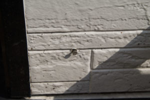 外壁塗装とは・・・窯業系サイディング壁の劣化